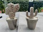 Rivièra Maison Decoratie Cactussen Set, Ophalen, Zo goed als nieuw