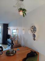 Eethoeklamp, Huizen en Kamers