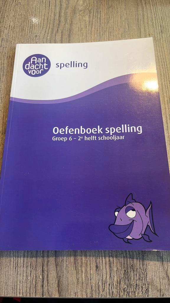 Spelling groep 6 Oefenboek, Boeken, Schoolboeken, Zo goed als nieuw, Nederlands, Overige niveaus, Ophalen of Verzenden