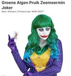 Nieuw Groene Algen Pruik Zeemeermin/ Joker, Ophalen of Verzenden, Nieuw, Jongen of Meisje