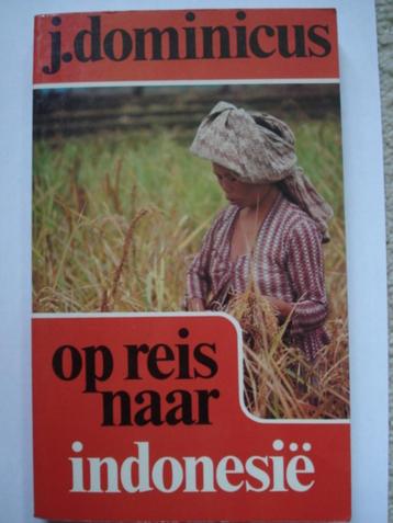 Op reis naar Indonesië - J. Dominicus beschikbaar voor biedingen