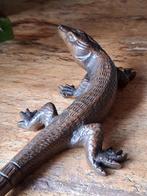 Brons beeld varaan / hagedis., Ophalen of Verzenden, Brons