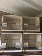 Broedkooien, Dieren en Toebehoren, Ophalen of Verzenden, Hout, Broedkooi of Kweekkooi