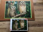 Heel mooie uilen puzzel, Ophalen, 500 t/m 1500 stukjes, Zo goed als nieuw, Legpuzzel