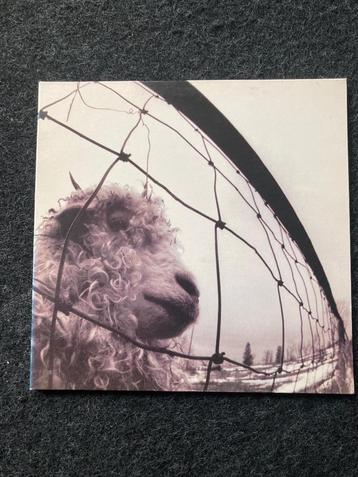 Pearl Jam ,”Pearl Jam” vinyl lp,1 st USA press 1993 beschikbaar voor biedingen