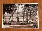 Gezicht op de Borobudur, Midden-Java, ca. 1900, Ophalen of Verzenden, 1980 tot heden, Ongelopen, Buiten Europa