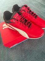 Scuderia Ferrari Neo Cat 3.0 uniseks sneakers, Kleding | Heren, Schoenen, Ophalen of Verzenden, Nieuw, Overige kleuren, Ferrari