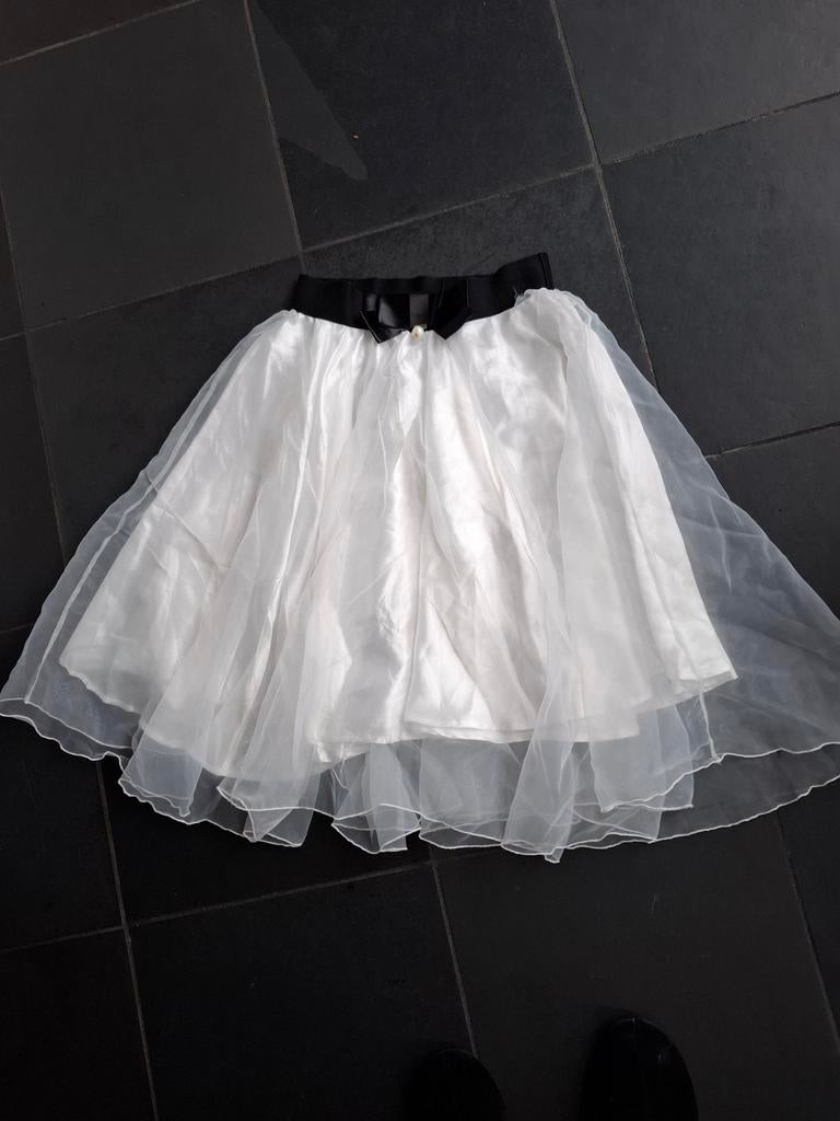 Tule Rok - Carnaval!, Ophalen of Verzenden, Zo goed als nieuw, Maat 38/40 (M), Carnaval