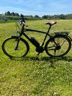 Speed pedelec Riese en Muller, Gebruikt, Versnellingen, 53 tot 57 cm, Ophalen