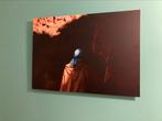 Foto op aluminium 50 cm x 70 cm, Ophalen, Zo goed als nieuw, 50 tot 75 cm, Foto of Poster