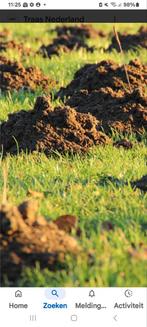 Mollen bestrijden: Effectieve oplossingen, Ophalen of Verzenden, Overige typen