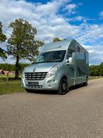 Renault Master MTM Pro-Safety Hengsten uitvoering!! Bj 2014, Dieren en Toebehoren, Paarden en Pony's | Trailers en Aanhangwagens