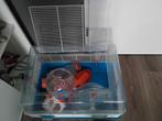 Hamsterkooi/toebehoren, Dieren en Toebehoren, Knaagdieren, Geslacht onbekend, Overige typen, Voor 1 juli 2024
