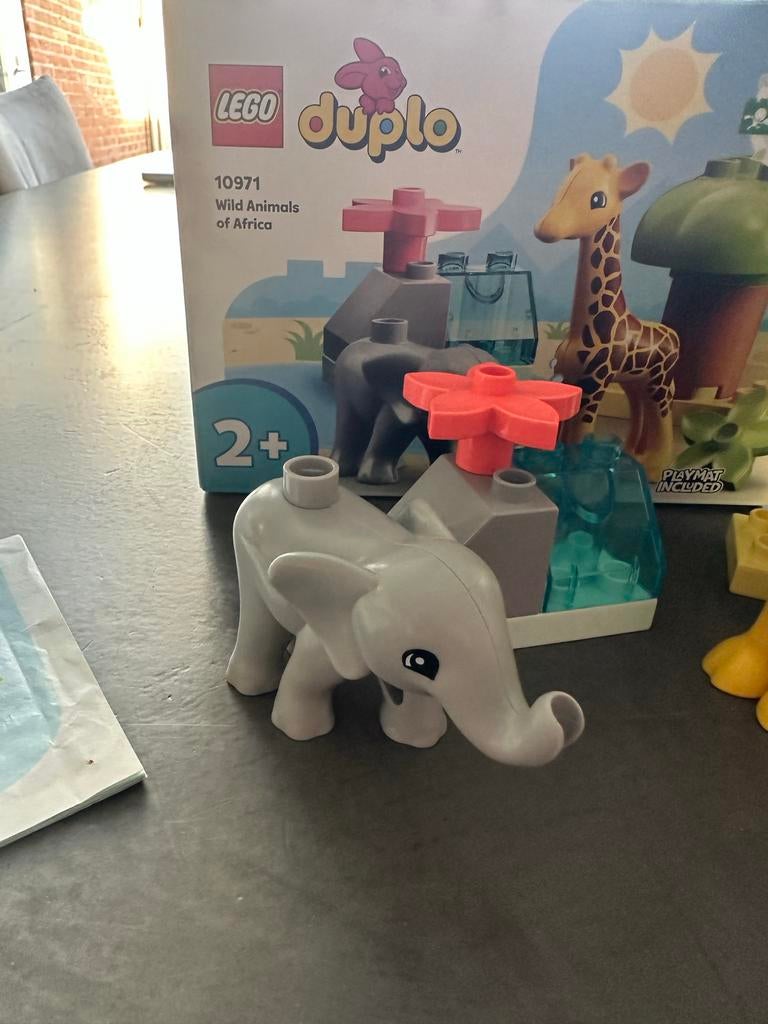 Lego Duplo Wilde Dieren van Afrika set 10971, Ophalen of Verzenden, Zo goed als nieuw, Complete set, Duplo