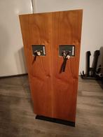 Tweedehands Chario luidsprekers, Overige merken, Gebruikt, Ophalen of Verzenden, 60 tot 120 watt