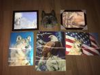 WOLVEN/WOLF wanddecoraties (6x), Ophalen of Verzenden, Zo goed als nieuw