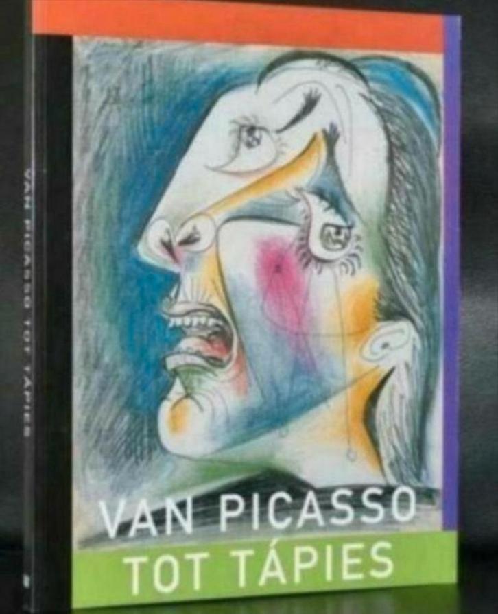 Van PICASSO tot TAPIES Waanders groot formaat Nederlands, Boeken, Kunst en Cultuur | Beeldend, Zo goed als nieuw, Verzenden