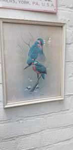 Mooie Engelse Vintage vogels prent? in sierlijke lijst, Minder dan 50 cm, Minder dan 50 cm, Gebruikt, Ophalen of Verzenden