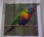 Schilderij Diamond Painting Papegaai, Ophalen of Verzenden