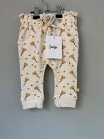 Nieuw Broekje Feetje Maat 62, Broekje, Meisje, Nieuw, Ophalen of Verzenden