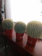Kunst planten 3 stuks prijs € 20.00, Ophalen of Verzenden, Zo goed als nieuw