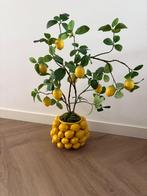 Citroen Des Pots met zijde takken - Als Nieuw!, Huis en Inrichting, Overige soorten, In pot, Minder dan 100 cm, Groene kamerplant