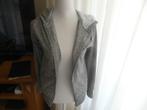 dames vest, Ophalen of Verzenden, Gedragen, Maat 38/40 (M)