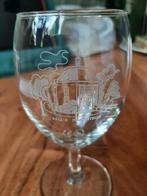 wijnglas Palijs Drakensteijn, Ophalen, Zo goed als nieuw, Nederland, Servies