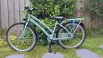 mintgroene fiets alpina curve 26 inch, Fietsen en Brommers, Gebruikt, Alpina, Handrem, Ophalen
