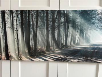 Canvas 150 x 50 cm beschikbaar voor biedingen