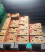 Verhuisdozen / bananendozen, Doe-het-zelf en Verbouw, Ophalen, Doos, 40 tot 60 cm, 50 tot 75 cm