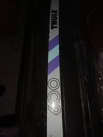 Thule 600 Skibox - Ruime Dakbox, Auto diversen, Dakkoffers, Ophalen of Verzenden, Gebruikt