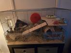 Mooie hamsterkooi, Ophalen, Kooi, 60 tot 90 cm, Zo goed als nieuw