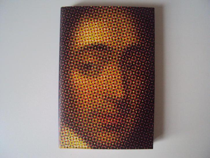 De steen vliegt - Benedictus de Spinoza, Boeken, Kunst en Cultuur | Beeldend, Nieuw, Ophalen of Verzenden