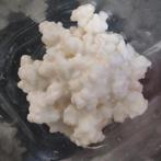Melk kefir, Diversen, Levensmiddelen, Ophalen of Verzenden