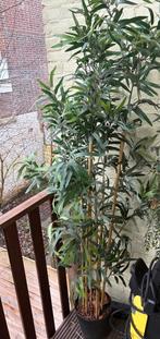 IKEA bamboe plant nep voor binnen en buiten, Ophalen, Gebruikt, Binnen