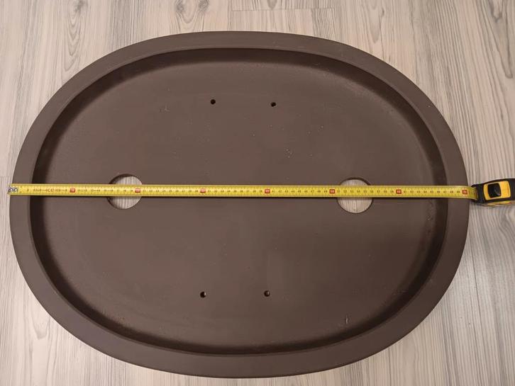 Bonsai schaal groot, Tuin en Terras, Planten | Bomen, Overige soorten, Minder dan 100 cm, Volle zon, Ophalen