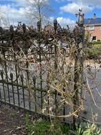 GEZOCHT Sierhekwerk ca 300cm breed en ca 107cm hoog, Tuin en Terras, Ophalen of Verzenden, Gebruikt, IJzer, Sierhekwerk