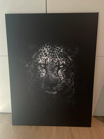 Zwart Tijger Canvas Schilderij 75x100 beschikbaar voor biedingen
