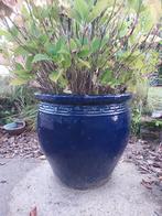 Div. grote geglazuurde bloempotten, Tuin en Terras, Bloempotten, Ophalen, Zo goed als nieuw, Rond, 40 cm of meer