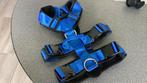 Hondentuig maat S,kleur Blauw, Dieren en Toebehoren, Ophalen of Verzenden, Nieuw