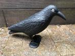 Kraai vogel verjager, Overige soorten
