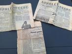 Haarlem-Noord 3 oude kranten origineel 1939, Ophalen of Verzenden, 1920 tot 1940, Krant