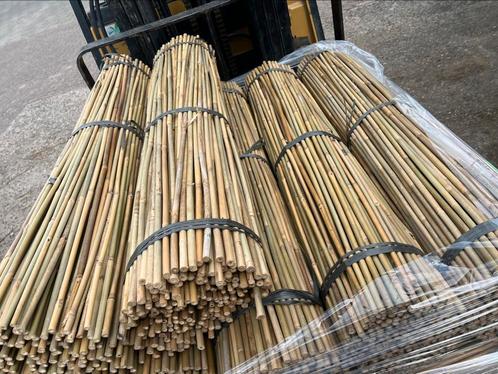 Tonkin bamboestok bamboepaal bonenstok plantenondersteuning, Tuin en Terras, Palen, Balken en Planken, Nieuw, Palen, Ophalen of Verzenden