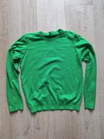 Groene trui - HEMA - Maat L, Maat 42/44 (L), Ophalen of Verzenden, Zo goed als nieuw, HEMA