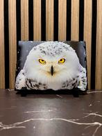 Decoratieve leisteen met sneeuwuil – 14x19,5 cm – met houder, Huis en Inrichting, Ophalen, Nieuw