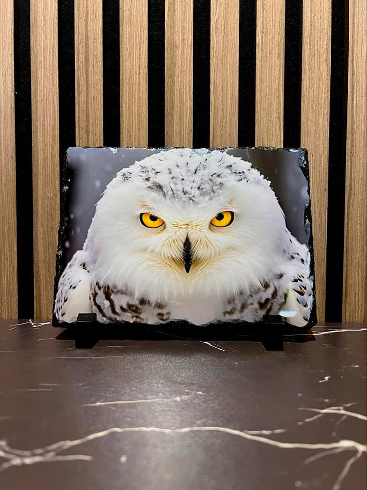 Decoratieve leisteen met sneeuwuil – 14x19,5 cm – met houder, Huis en Inrichting, Woonaccessoires | Overige, Nieuw, Ophalen