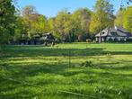 Plek vrij op prive stal/weide in Blaricum, Dieren en Toebehoren, Stalling en Weidegang, Weidegang