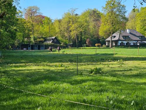 Plek vrij op prive stal/weide in Blaricum, Dieren en Toebehoren, Stalling en Weidegang, Stalling, Weidegang