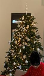 Mooie grote Nordmann  kerstboom 230cm van Triumph, Ophalen, Gebruikt